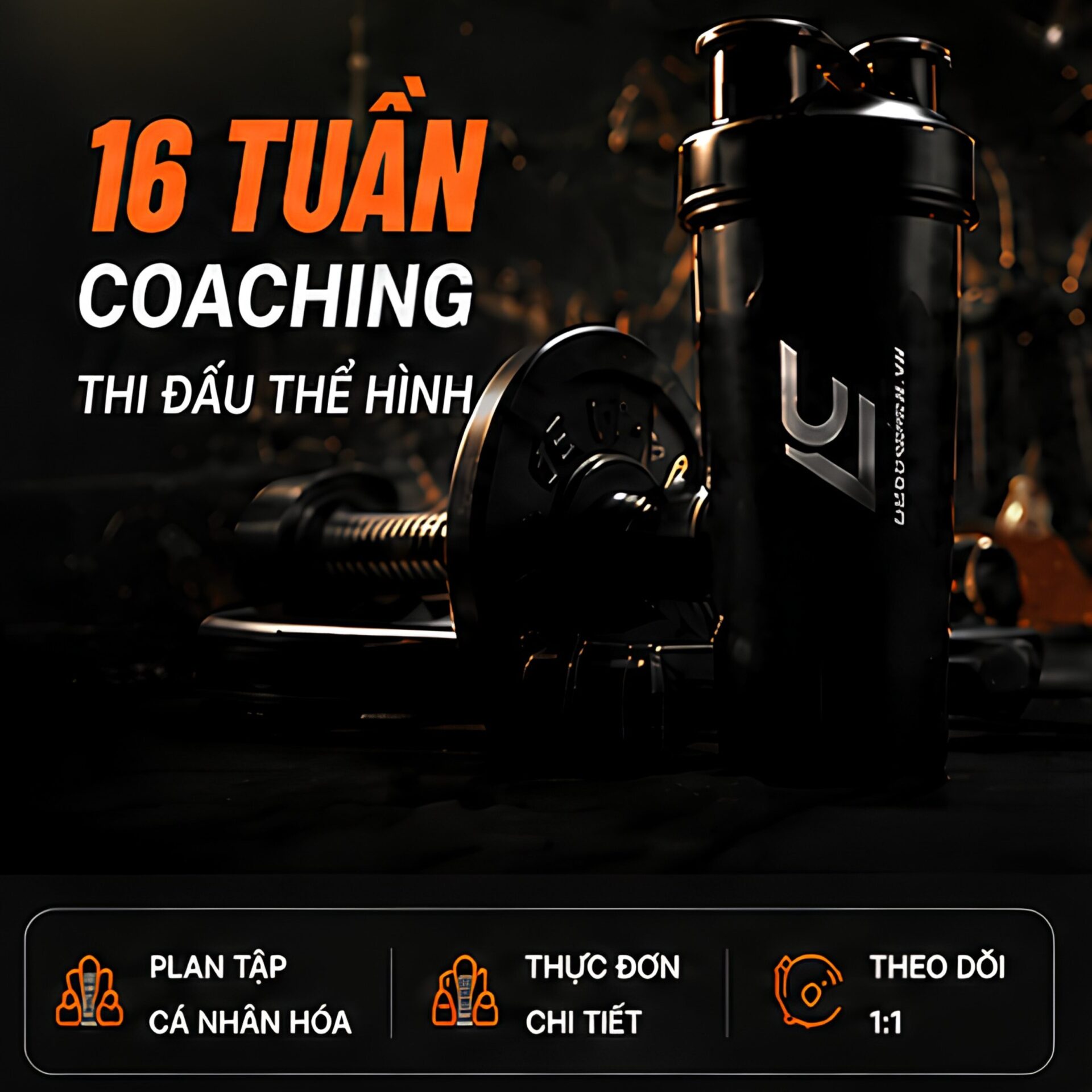 16 tuần Coaching Thi Đấu Thể Hình - Phiên bản hình thể tốt nhất của bạn BẮT ĐẦU